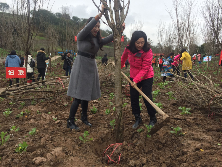 QQ图片20180222150554副本.jpg 916462829654415309