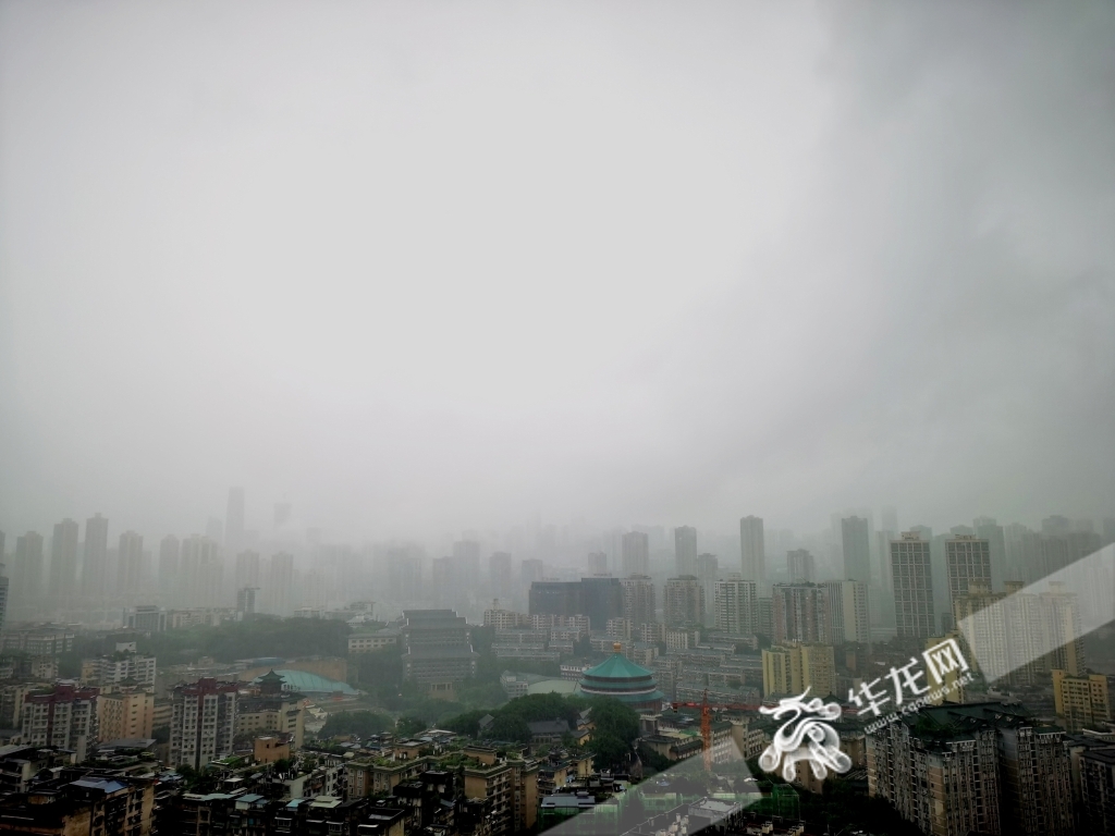 今日早上,中心城区出现短时强降水。华龙网-新重庆客户端记者 李文科 摄 916462829654401477