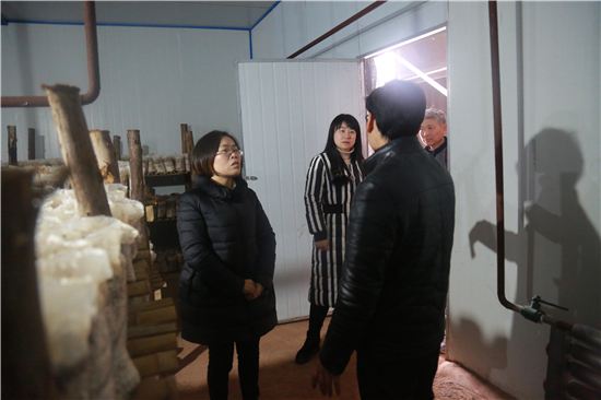 永川区妇联副主席朱孝娟和区妇联挂职副主席胡远莉在参观了解食用菌的生产过程.jpg 916462829654415167
