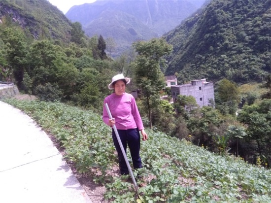 李启明..png 916462829654419157