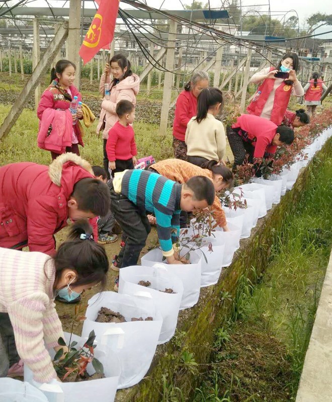 新民副本.jpg 916462829654484581