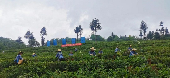 01141802.jpg 916462829654471699