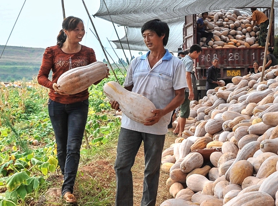 陈春兰.jpg 916462829654483687