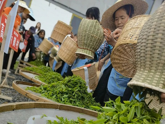 image..png 916462829654471701