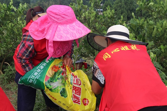 4.jpg 916462829654477973