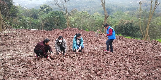 峡口镇植树1.jpg 916462829654481511