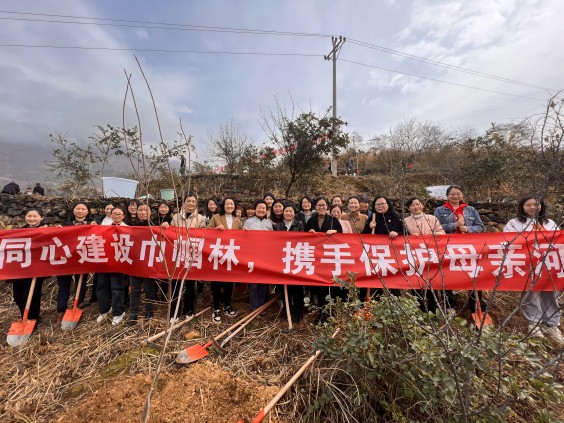 微信图片_20230309100532(1).jpg 916462829654476261