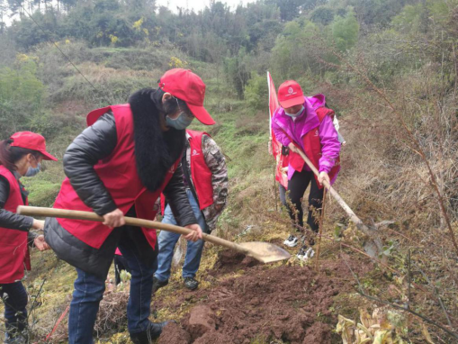 图片2..png 916462829654449069