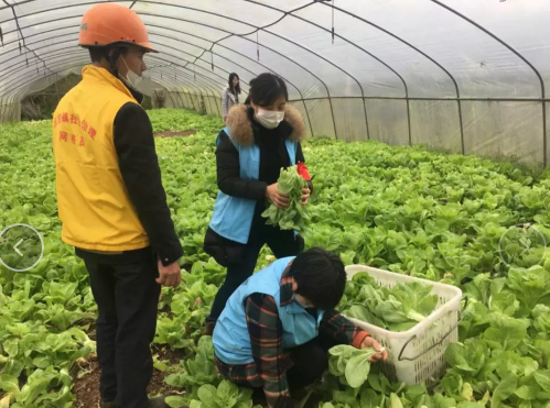 7DSCX3T1)3QCTAGF[D4LMQK..png 916462829654449405