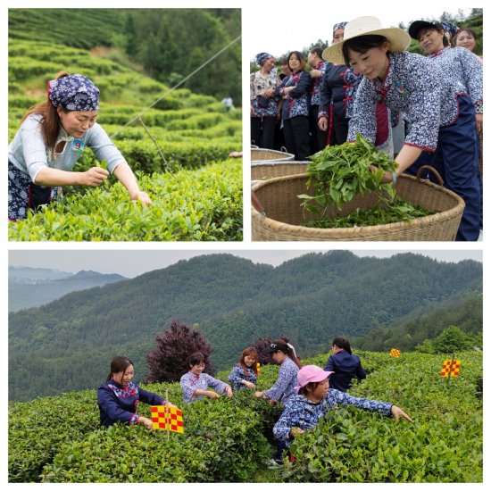 1.jpg 916462829654477965