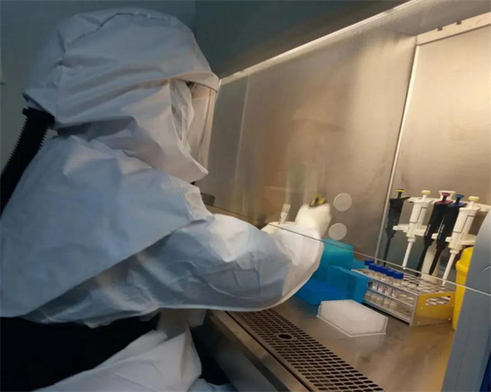 图片1..png 916462829654447235