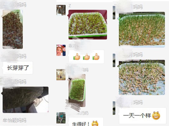 图片5_副本..png 916462829654485159