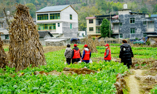 Cropped by 华龙芯 2025-04-14 14:30:12