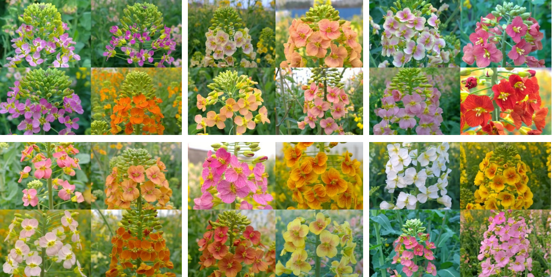 微信图片_2025-10-22_105827_901