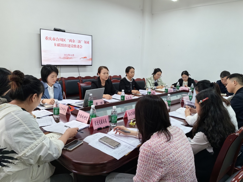 “三新”领域妇联组织再添新成员