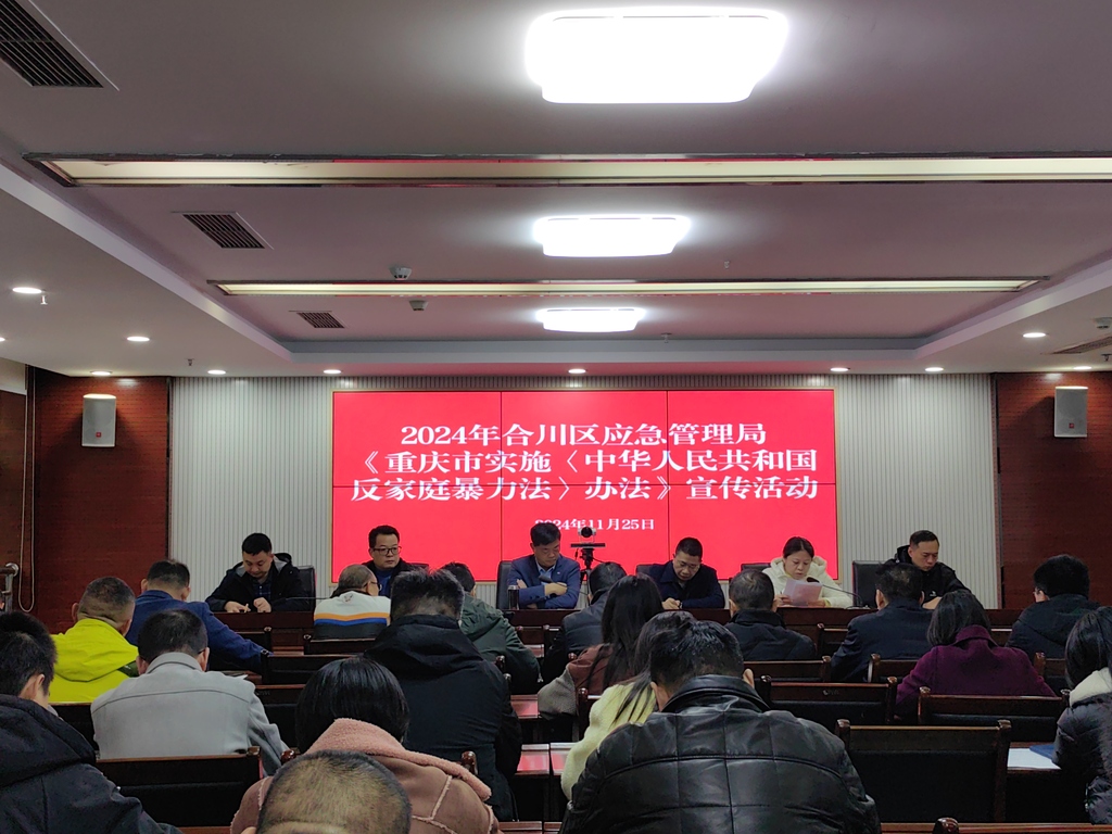 合川区应急管理局开展2024年“11