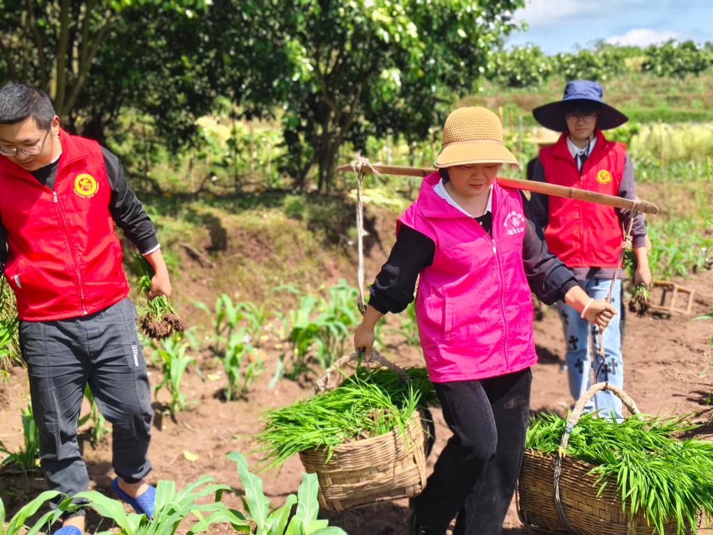 微信图片_20240423154458