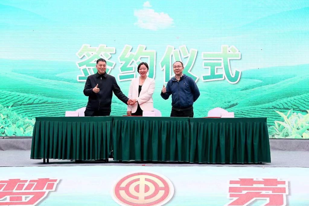 d25fd1bfa88215dd3e4eb3a598c908f