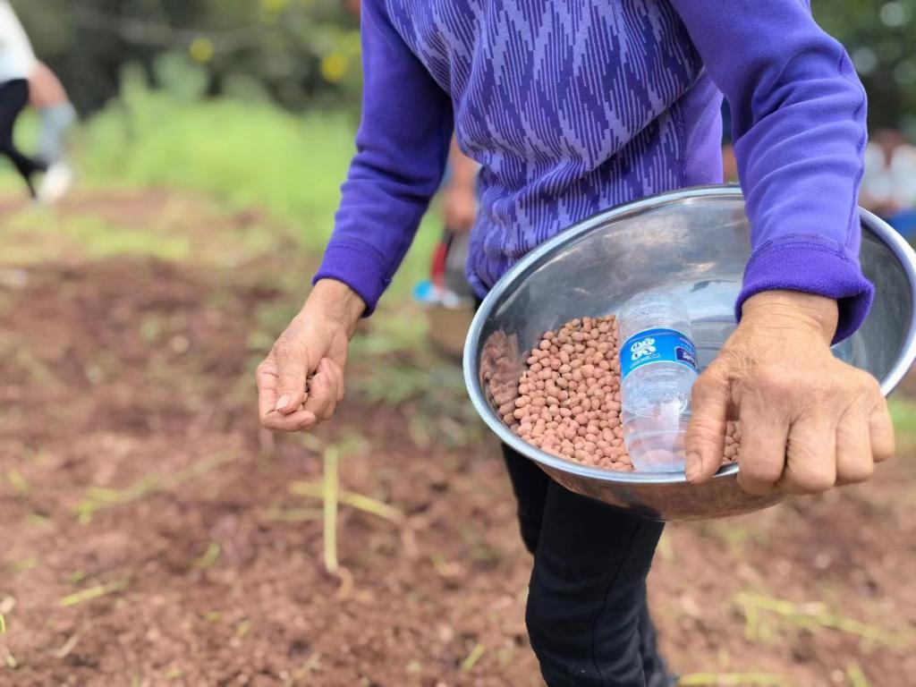 f283dd9c6da14c347dbdda4a75169fa