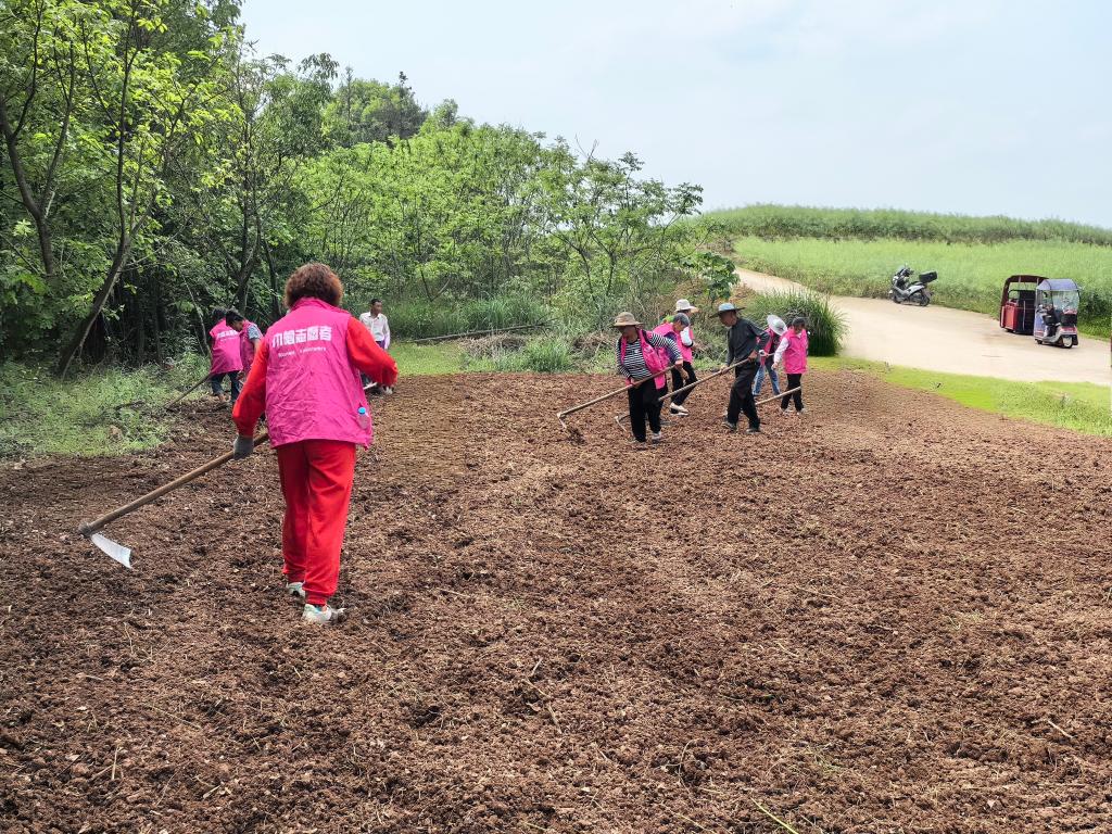 e966eeabed4dae26aebfe9abab8489d