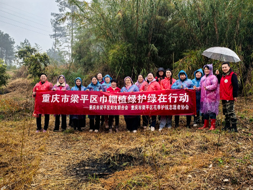 Cropped by 华龙芯 2025-03-14 14:15:17