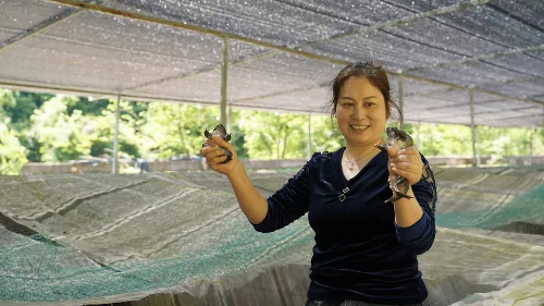 Cropped by 华龙芯 2025-03-17 15:11:39