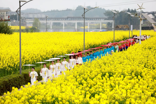 Cropped by 华龙芯 2025-04-11 14:03:14