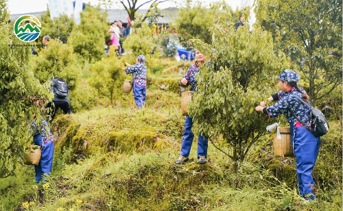 Cropped by 华龙芯 2025-04-21 11:56:59