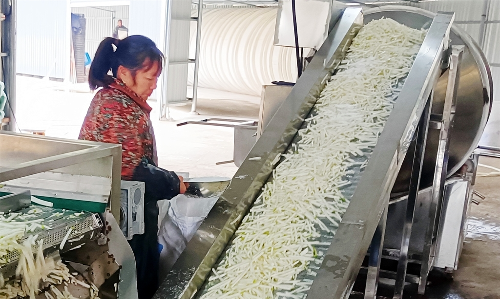 Cropped by 华龙芯 2025-04-24 11:52:11