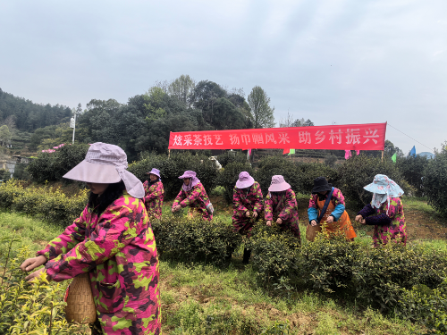 Cropped by 华龙芯 2025-04-07 11:34:34