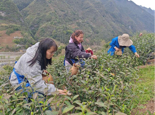 Cropped by 华龙芯 2025-04-09 17:28:41