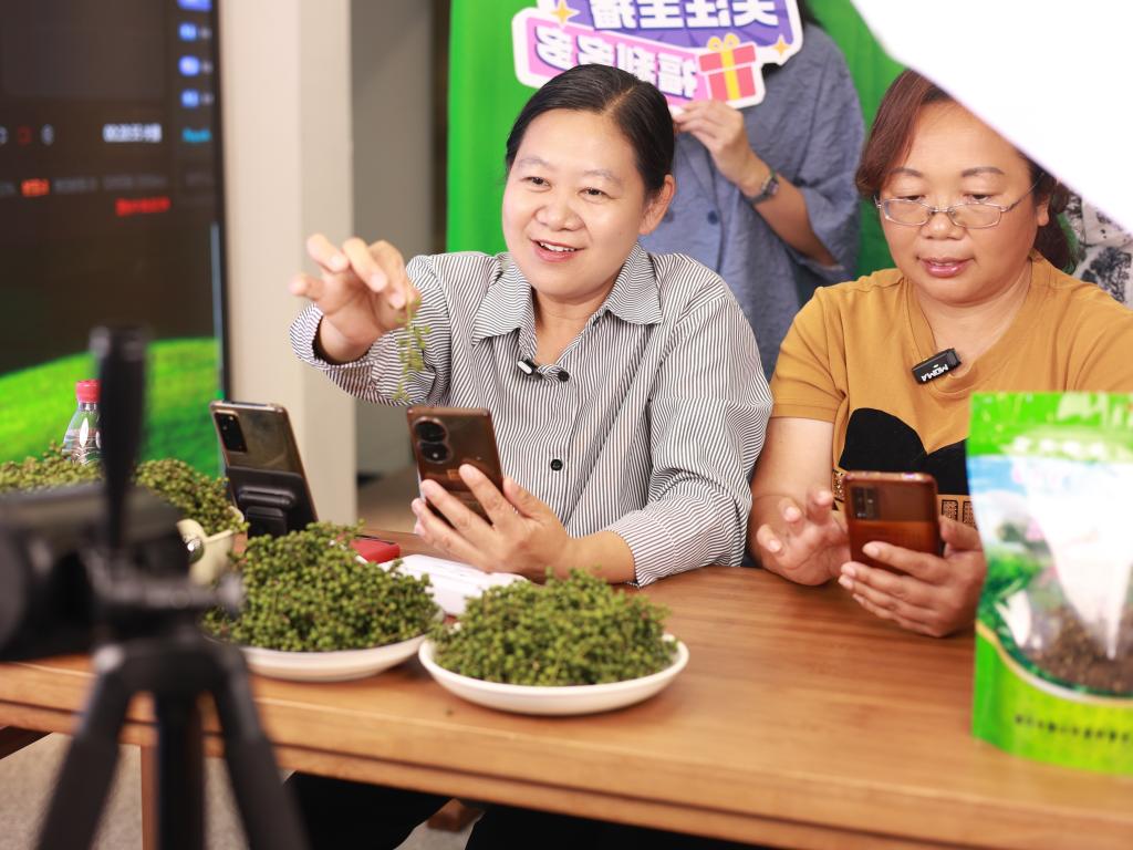 微信图片_20240603171954