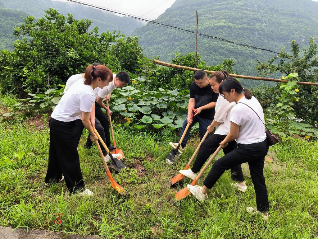 微信图片_20240626151606