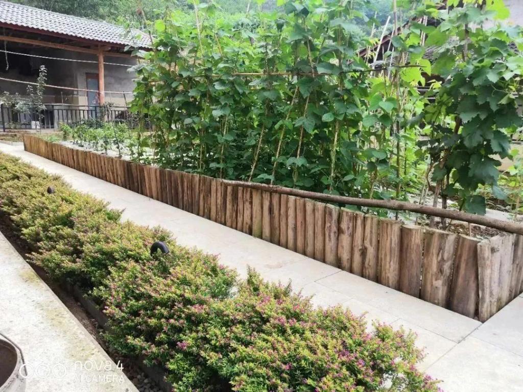 微信图片_20231226105004