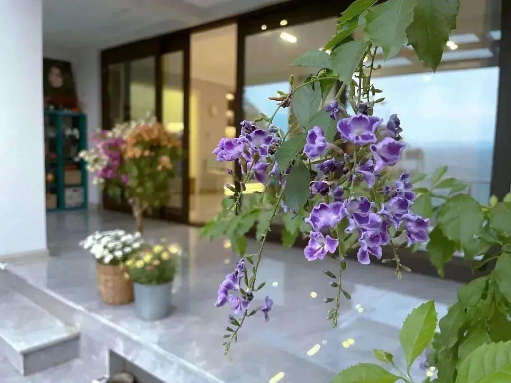 微信图片_20231226104016