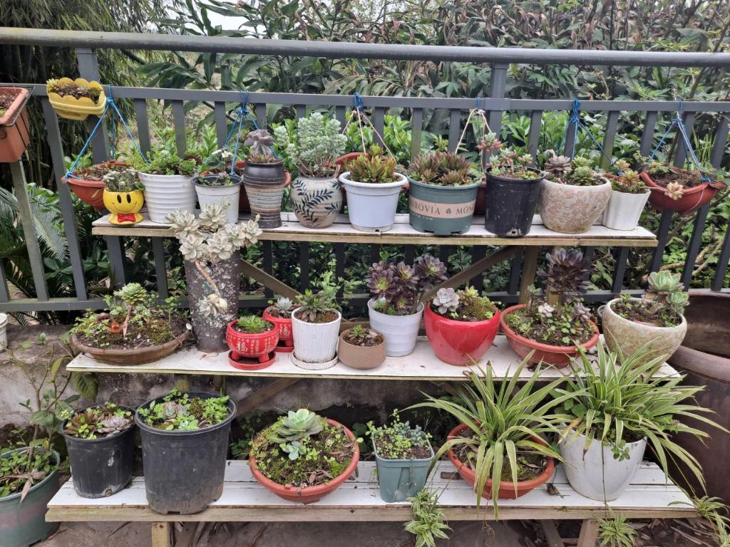 微信图片_20231226105031